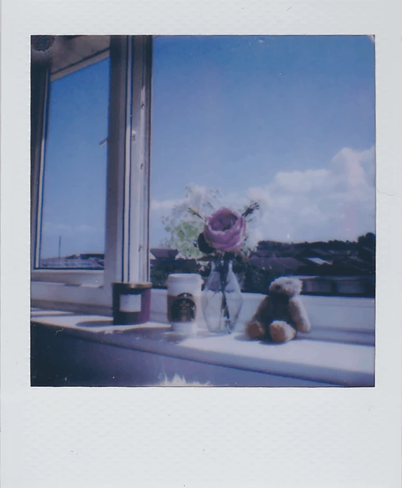 flowers and stuffed animals on window ledge against blue sky