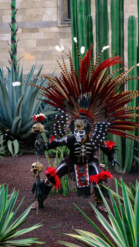 a very elaborate display of plants and a guy in a skeleton costume