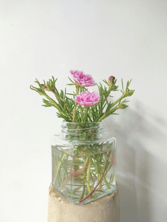 a glass jar filled with a group of flowers