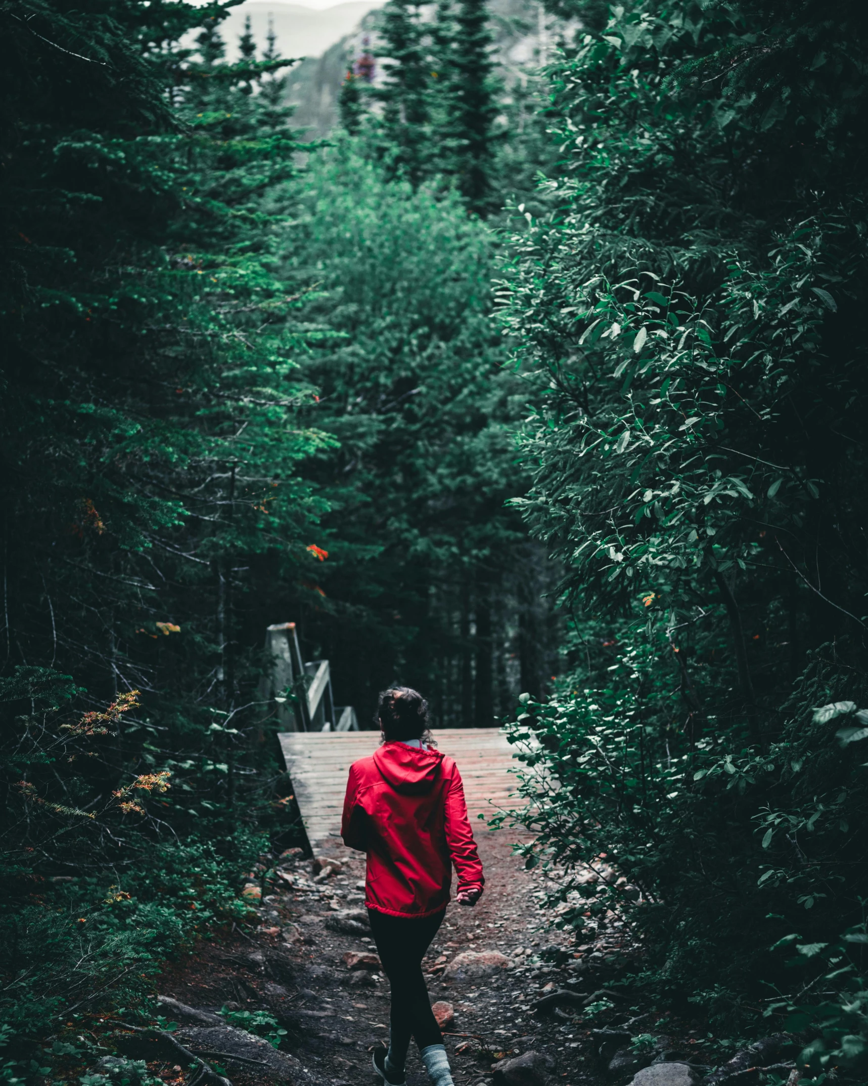 person walking through a path in the woods