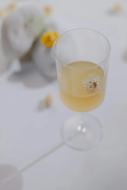 a martini cocktail in a goblet on a table