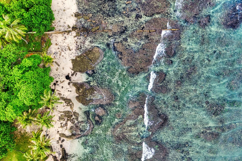 the view from above shows the green water and rocks on the shore