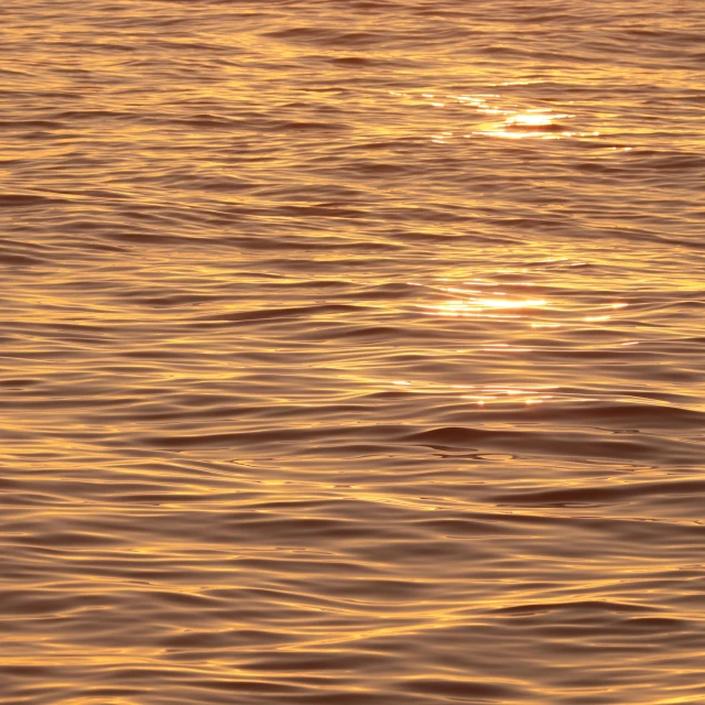 the sunset reflects off the water's surface