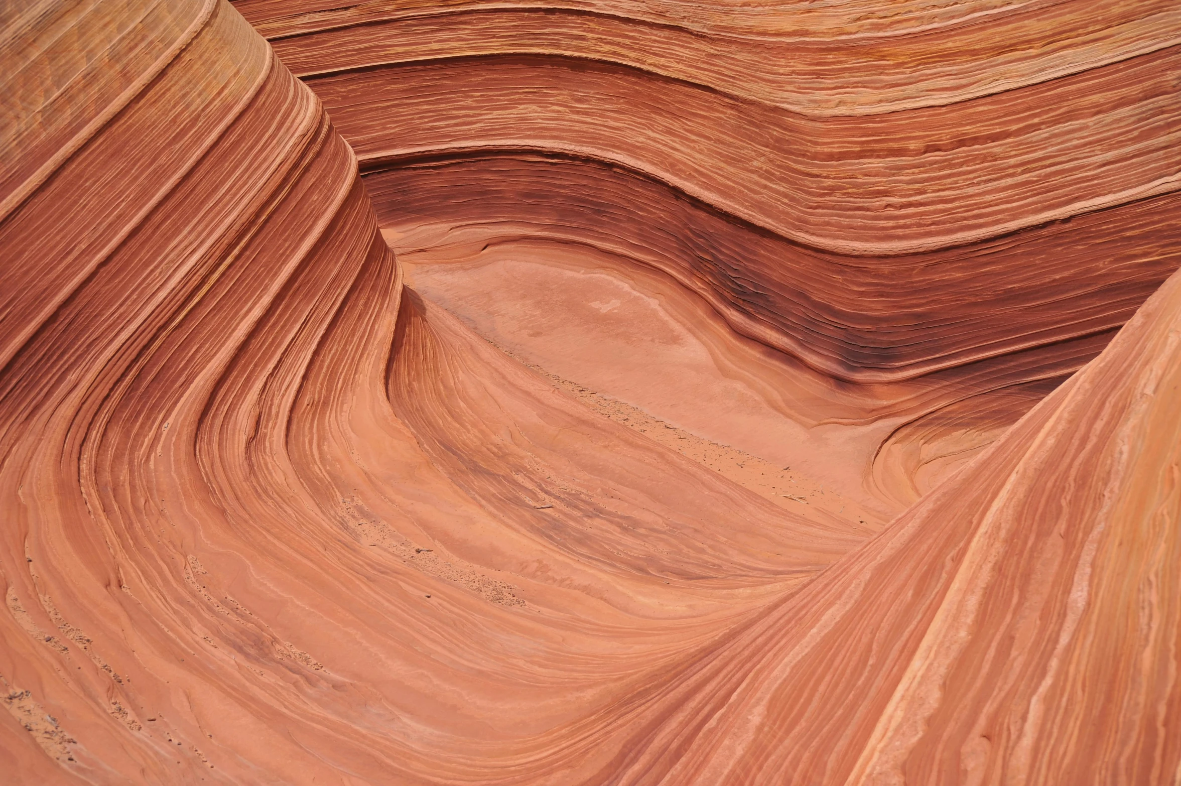 large wavy rock formations in a deep canyon