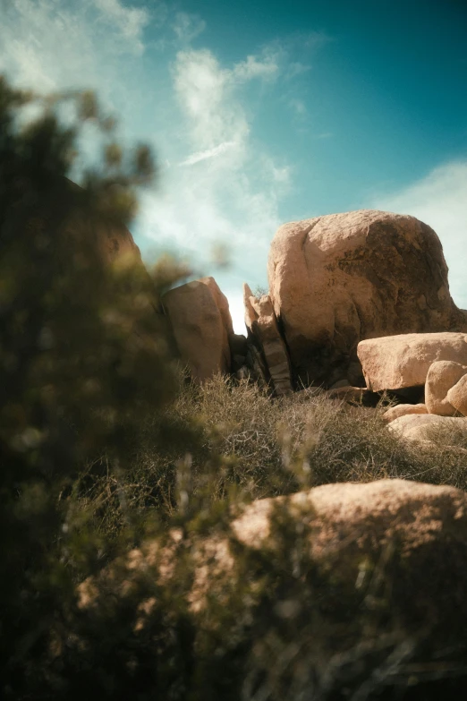 rocks and grass in the foreground with an ocean in the background