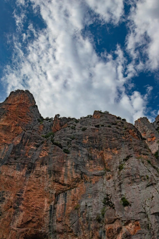 a bird is perched on the top of a rocky cliff