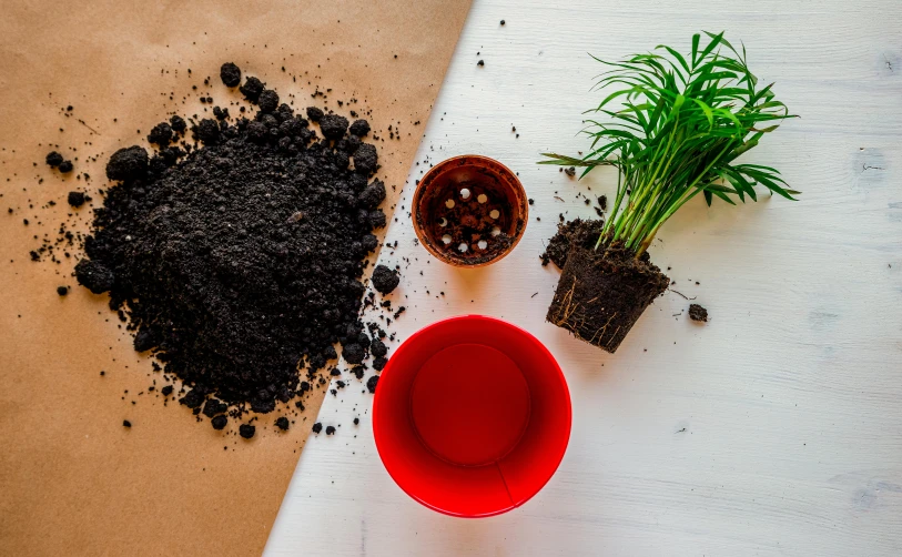 two cups next to soil and a pot on top of it