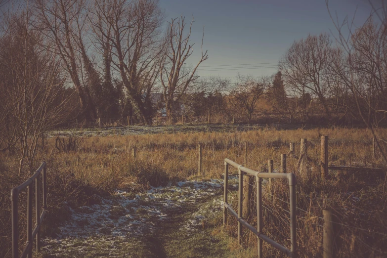 a gate that is open to a field and trees