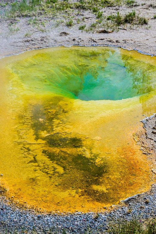 a yellow, green, and orange substance is seen in the water