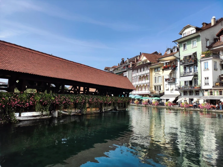 a waterway surrounded by old white buildings and red flowers