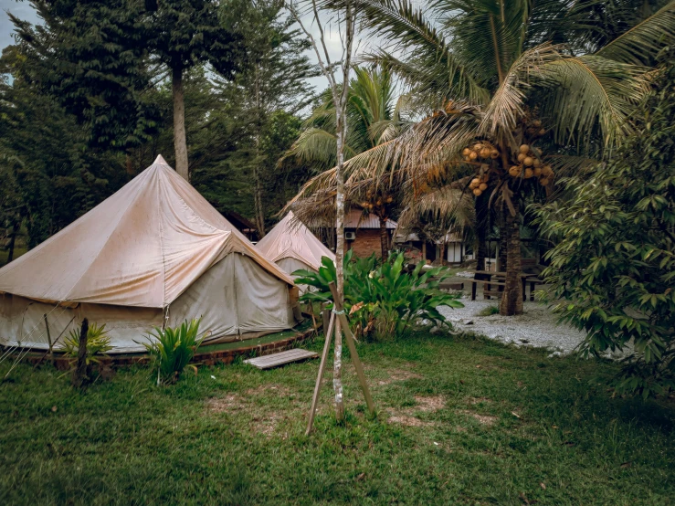 a small, white tent is set in the grass