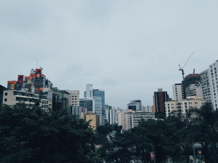 the city skyline of a large city with skyscrs