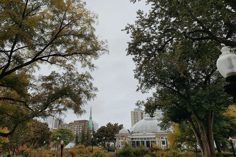 trees along a sidewalk and some buildings on a cloudy day