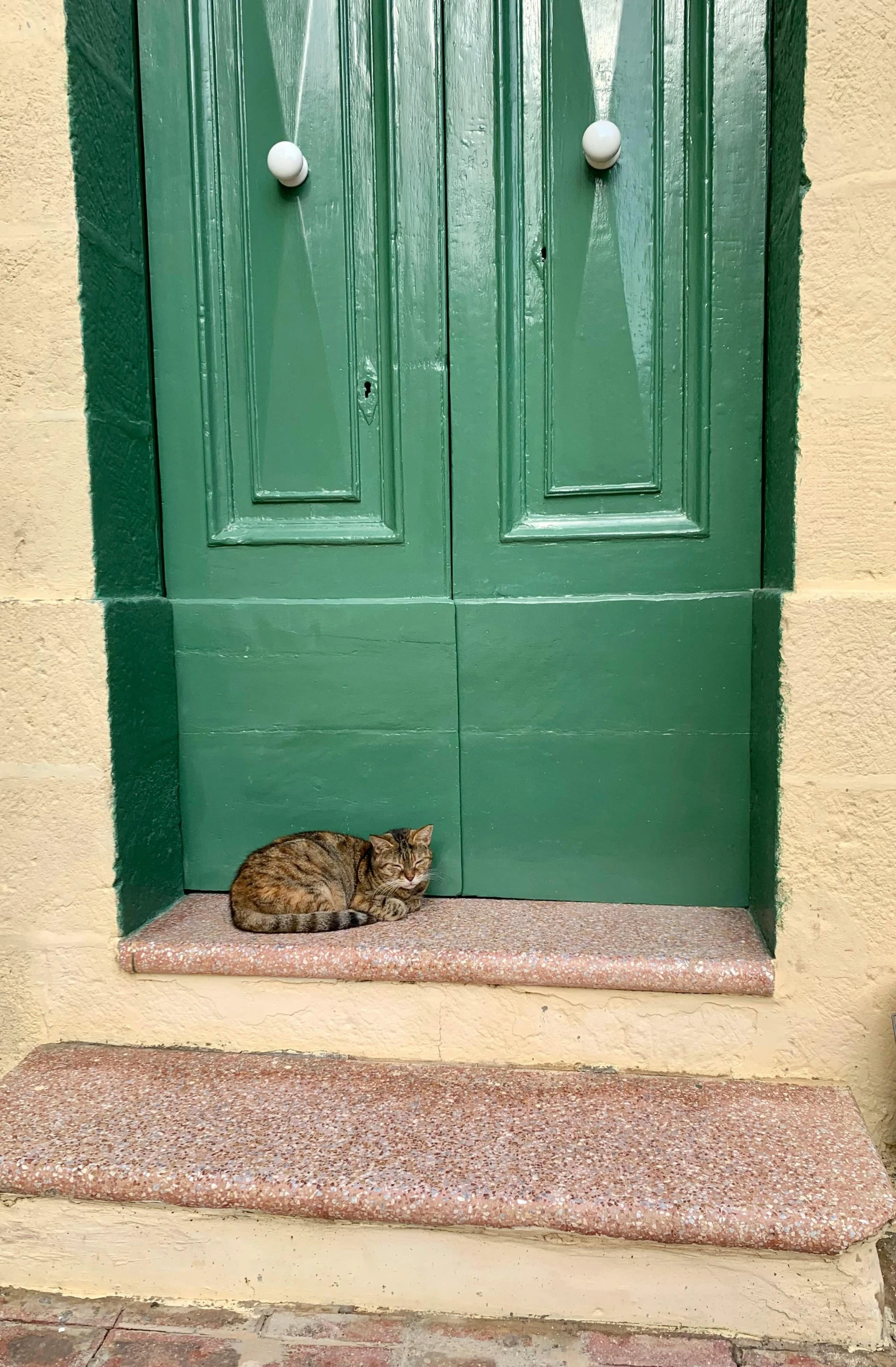 a cat that is sitting outside of a door
