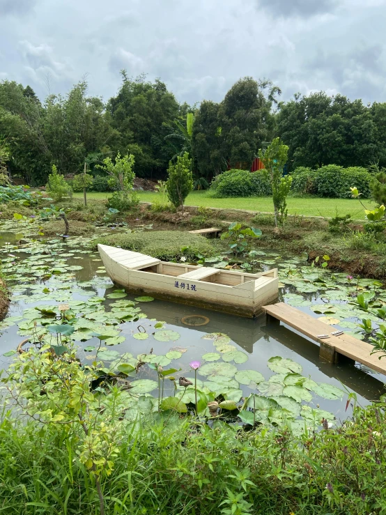 a canoe sits in the middle of a swampy pond