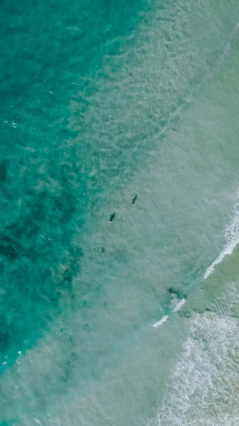 two surfers riding waves on the blue ocean