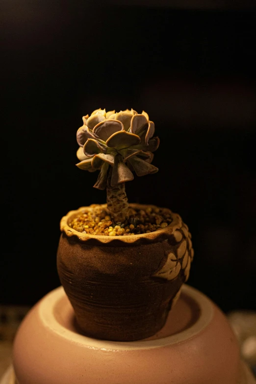 a pot with a potted plant sitting on it's stand