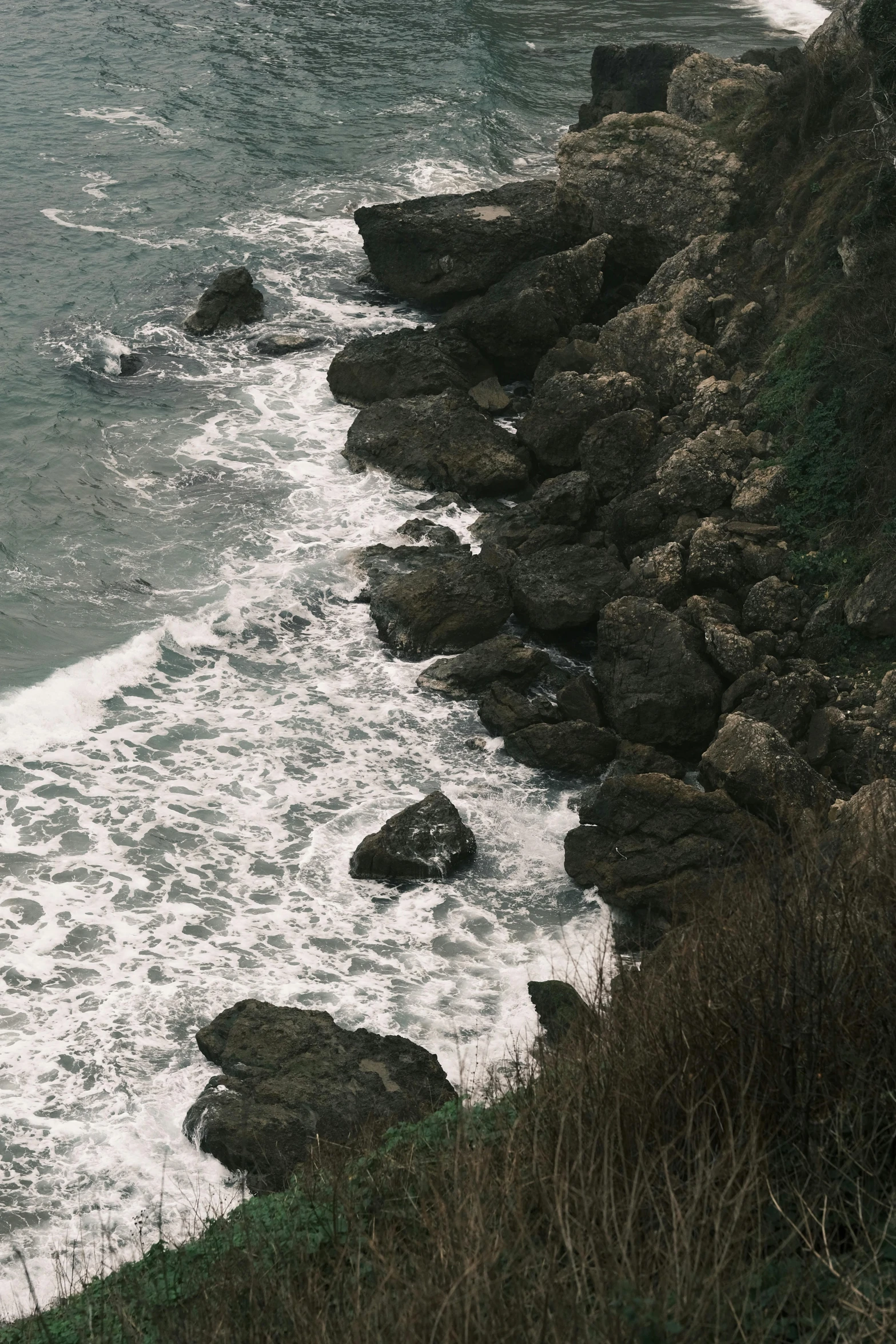 the bird is perched on top of the rock in front of the ocean