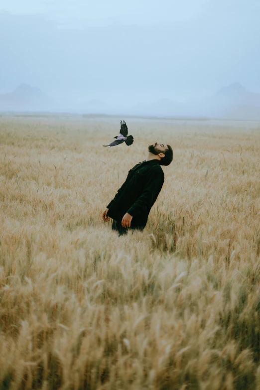 two birds in the air over an open grassy field