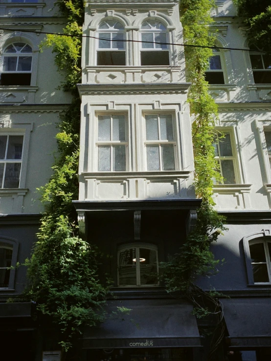 a big building with ivy growing on it's side