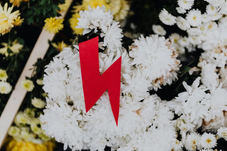 a small red arrow next to white flowers