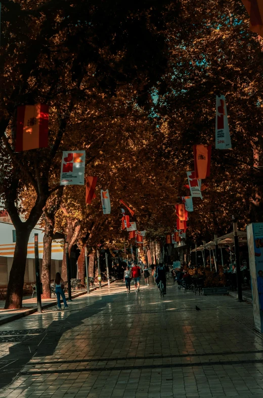 a cobbled stone street lined with flags and lights