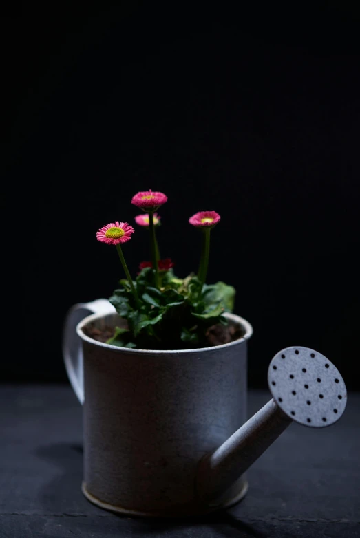 a flower pot with flowers inside of it on a black surface