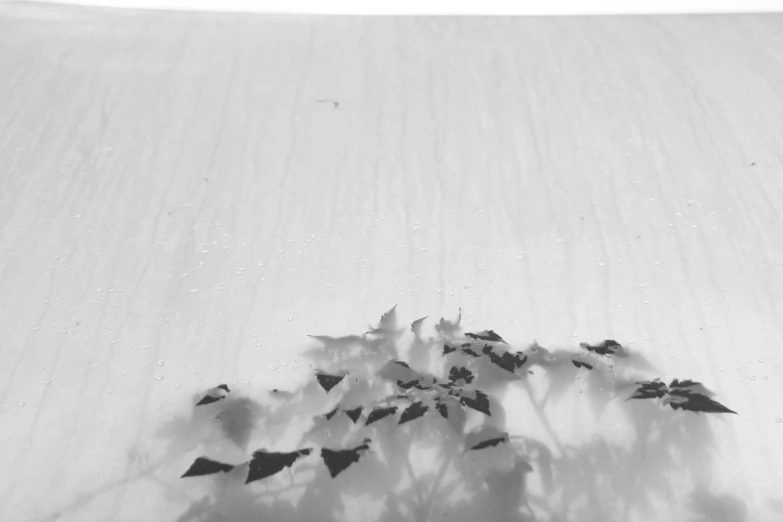 a black and white po of snow on a ski slope