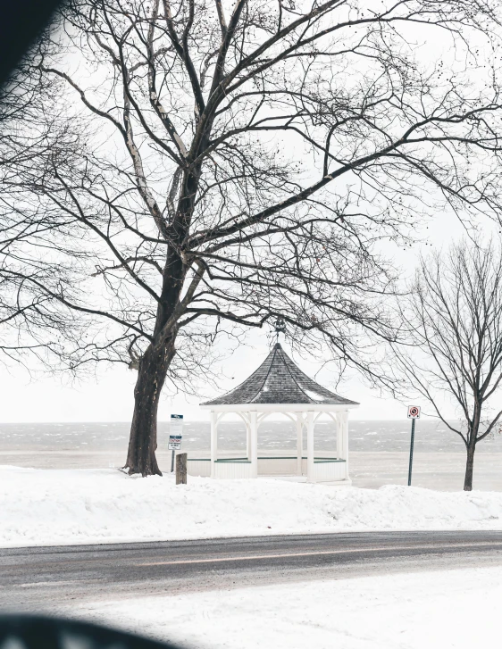 snow and trees surrounding park with gazebo