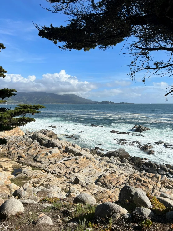 trees and rocks line the shoreline by the ocean