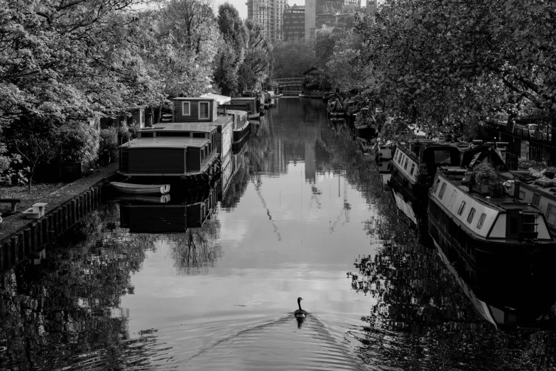 a body of water surrounded by trees and buildings