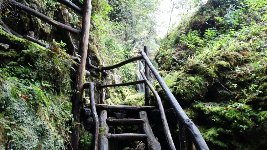 a wood staircase leads up a steep hill