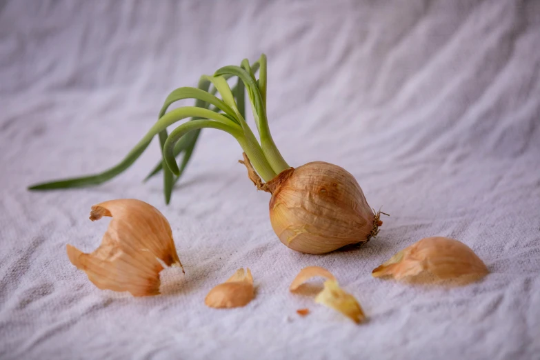 a green onion and some onions on the table