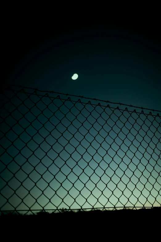 a bird is sitting on a fence at night