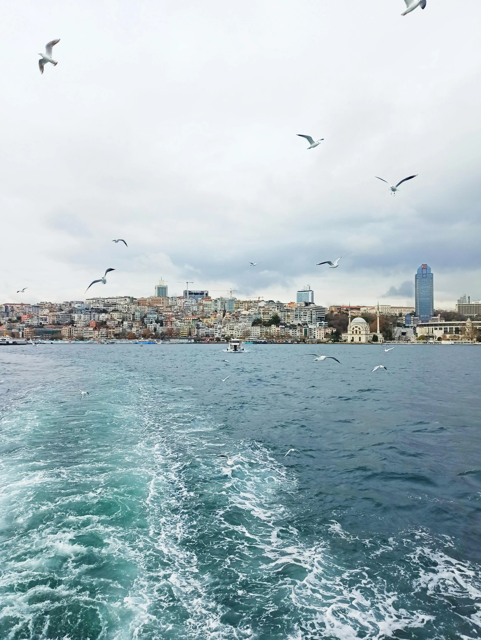 birds flying over the water as they float past the city