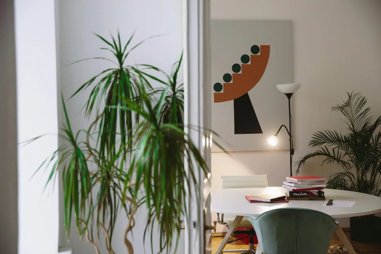 a plant is next to a potted palm on a table