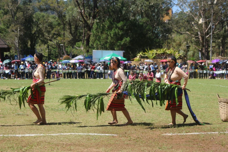 a group of people with sticks walking on a field