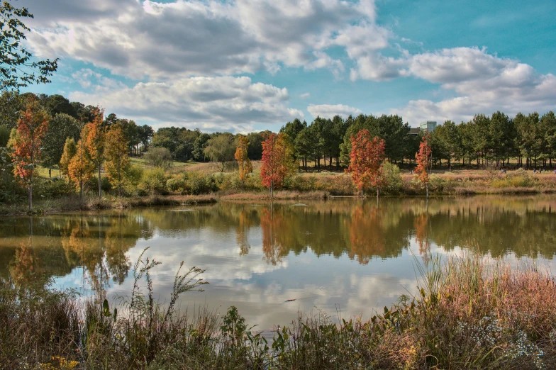 there is a pond that has some trees around it