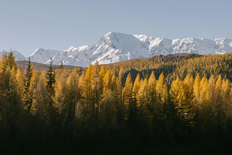 mountains and trees stand in the foreground with a sky background