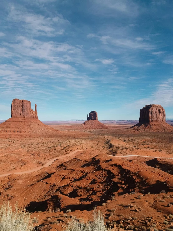 a view from a high point of the canyon with a lone animal in it