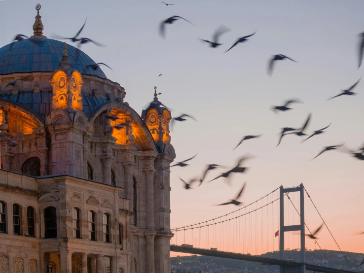 several birds flying in front of a very tall building