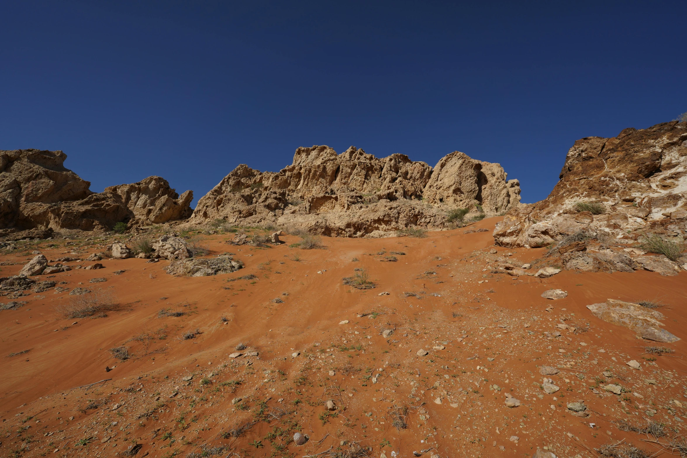 an arid plain with rocks in the background