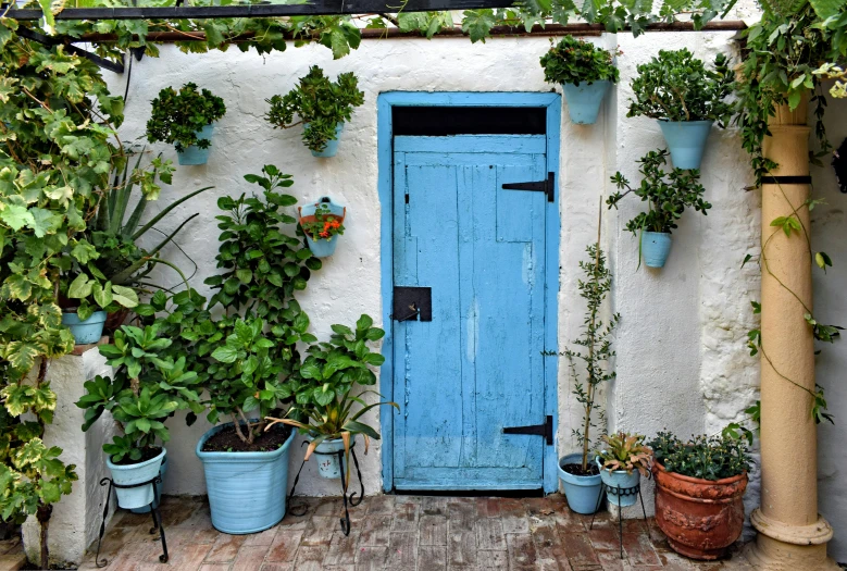 blue door, wooden pole and several plant pots outside of a house