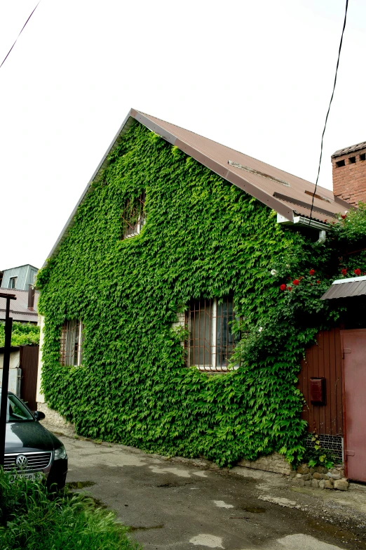 an old building covered in vines and flowers