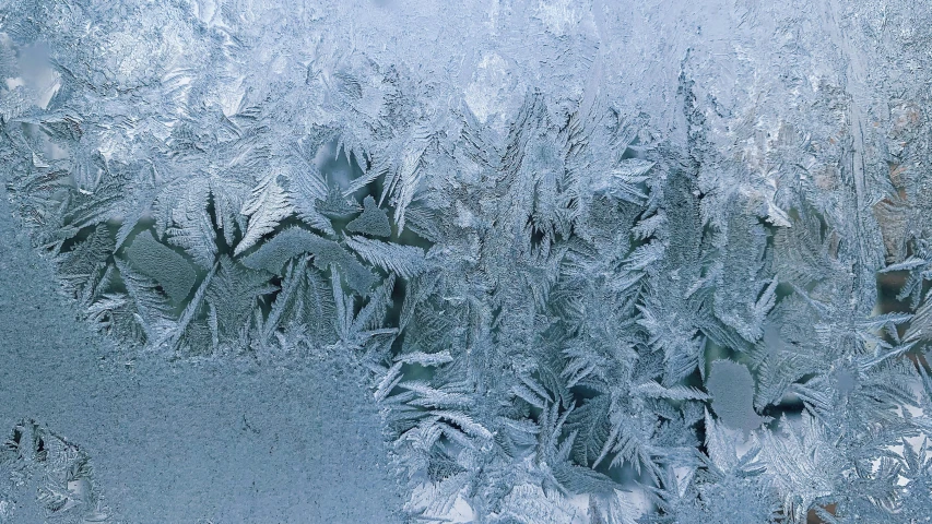 a frosty window with trees reflected in it