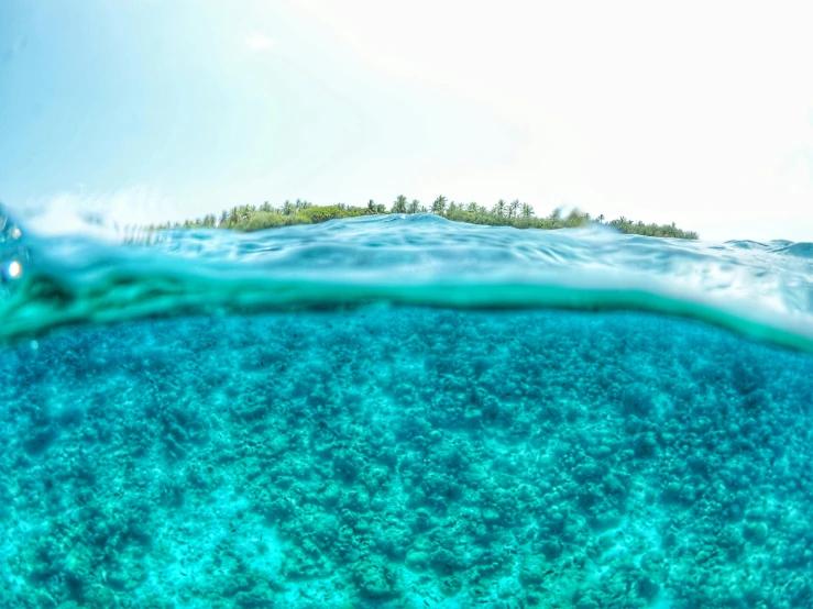 clear blue water beneath a small island in the background