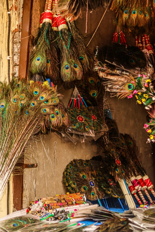 some colorful feathers in an artistic manner on display