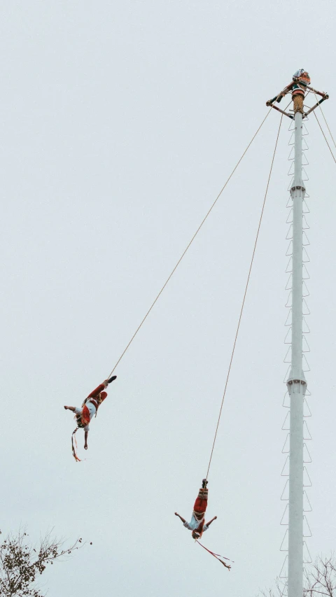 two men with skis are on the rope above the trees