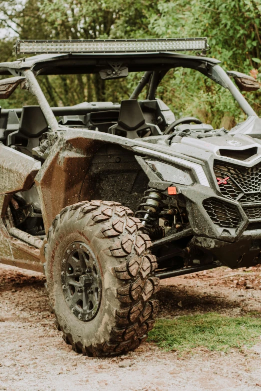 an image of a very close up s of a buggy on a trail