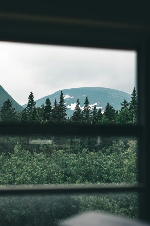 a view from inside a train window of trees and mountains